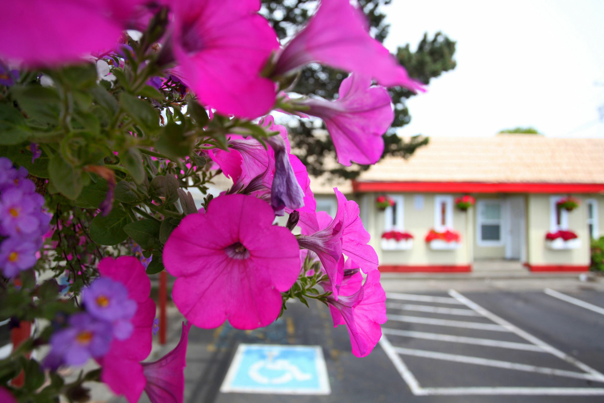 City Centre Motel By Oyo Seaside Exteriér fotografie